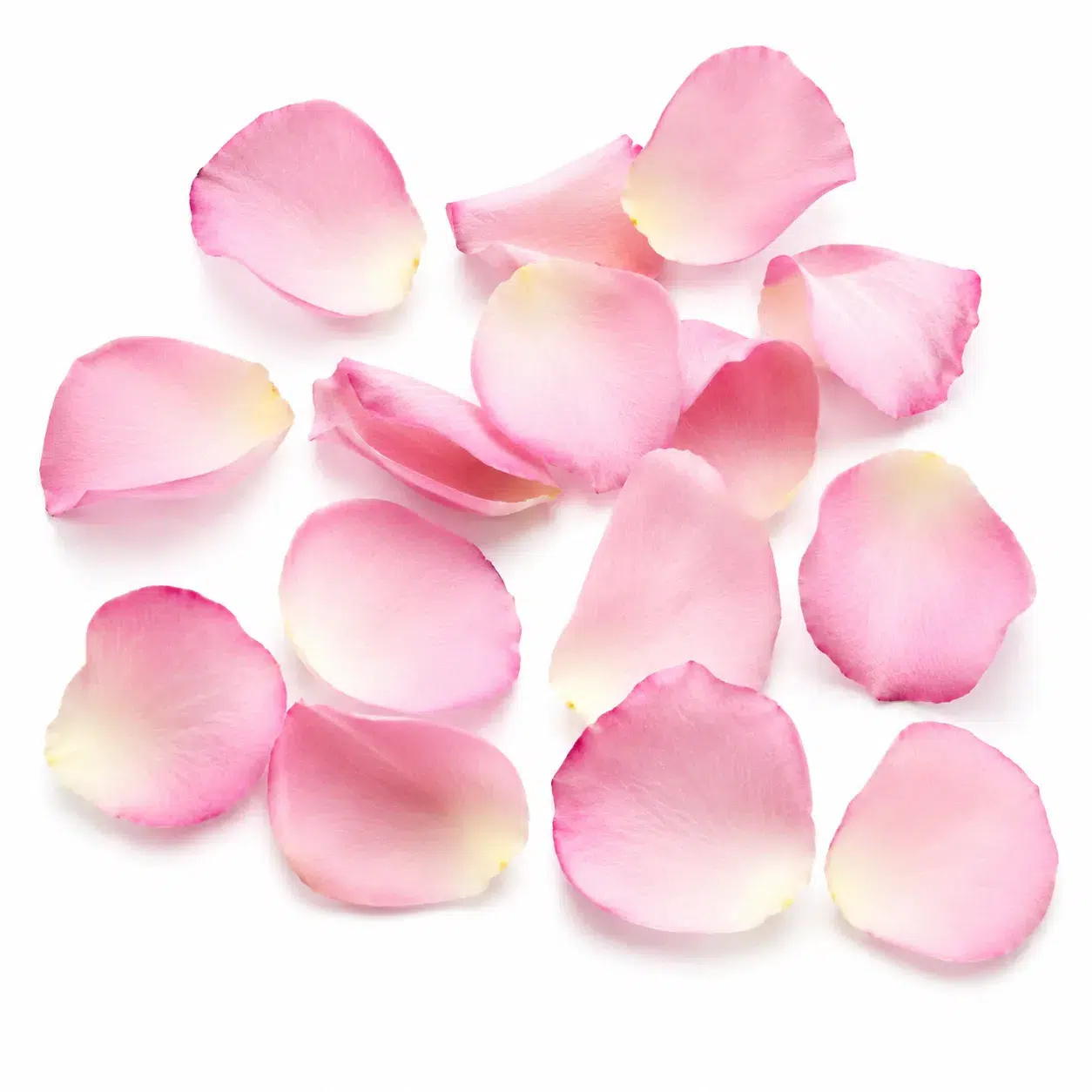 Rose Flower Extract